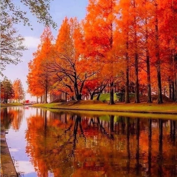 Sz 10 DONNA RICCO NEW YORK DRESS Abstract Multicolour Print - Picture 8 of 8